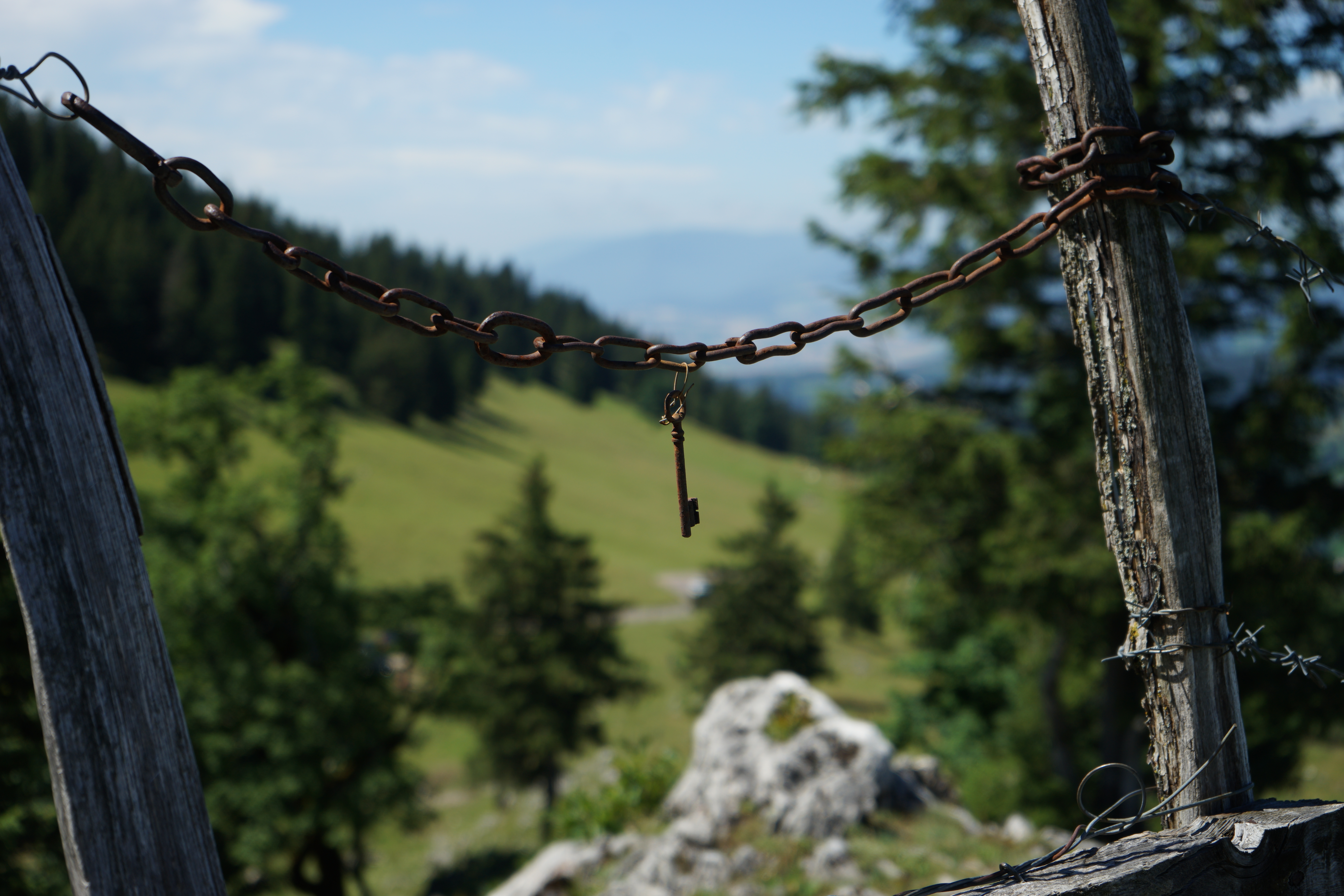 Découverte Suisse